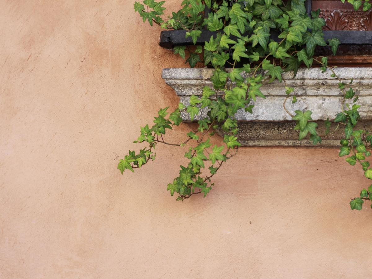 Casa Isolani Charms Rooms Santo Stefano Bologna Exterior photo
